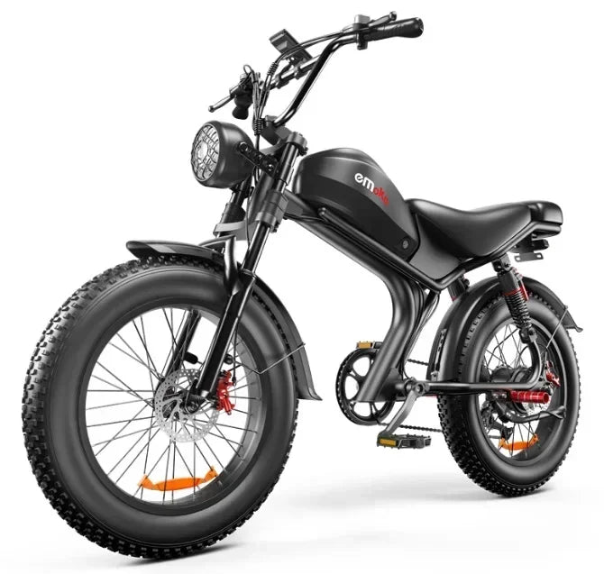 Ordinary Bike  High Warrior 1000W Motorbikes 48V 20AH Ebike Adult Road Electric Bicycle 20 Inch Off-road Fat Tyre Electric Bike