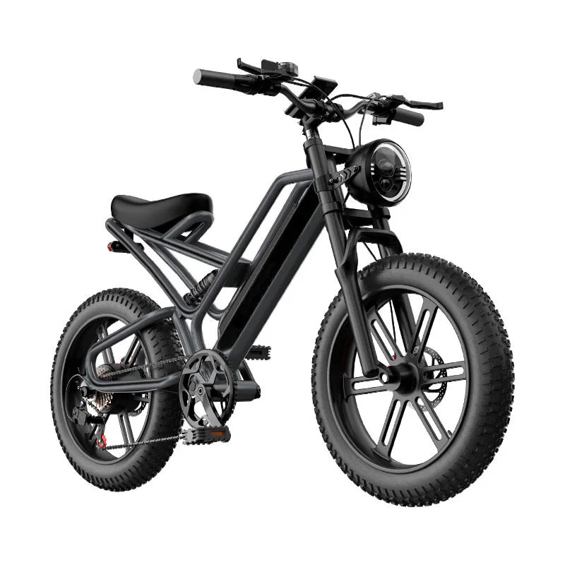 Off-Road Electric Bike 1000W Motor48V15.6AH Lithium Battery Road Electric Bicycle For Adults Mountain Electric Bike MTB